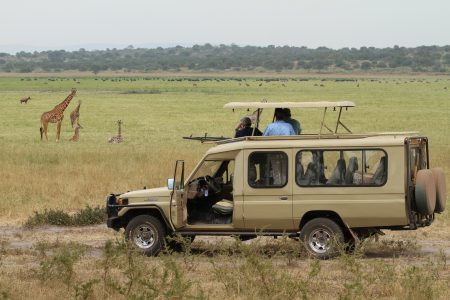 One day Akagera safari from Kigali